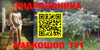 прущие крисы Кулебаки
