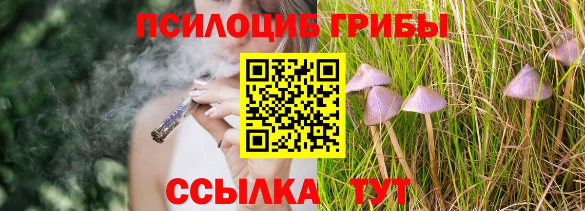 Псилоцибиновые грибы Psilocybine cubensis  Вход с VPN  Холмск 